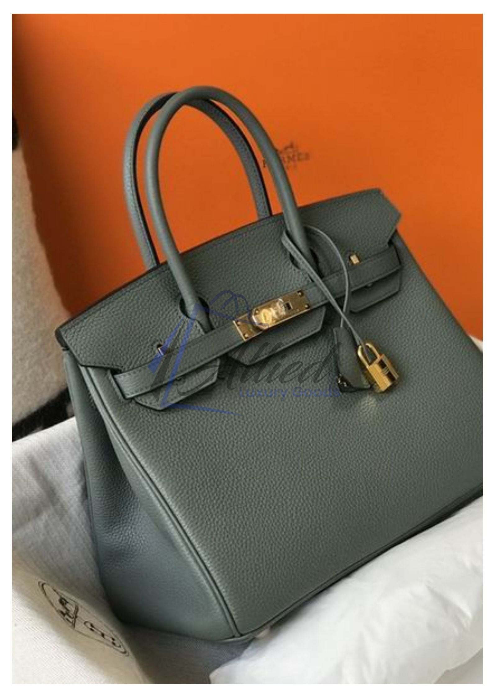 Hermès Birkin 30cm  Classic Luxury Tote
