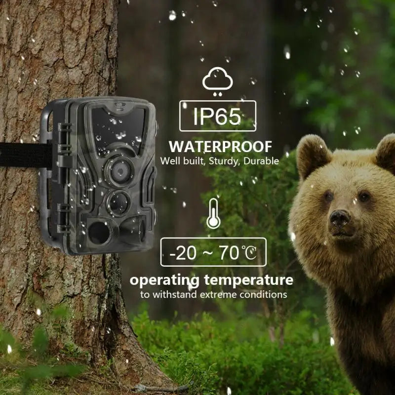 20MP 1080P Outdoor Hunting Trail Camera with 5000 MAh Lithium Battery IP65 Waterproof Game Cam Photo Traps Wild Surveillance