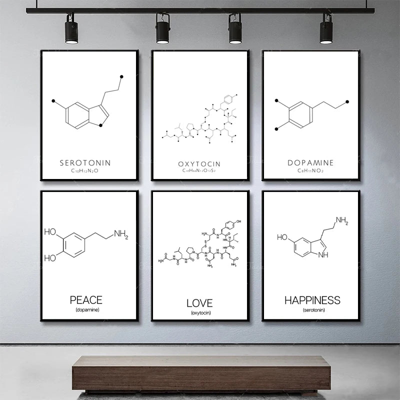 Serotonin & Dopamine Molecule Line Art – Canvas Print