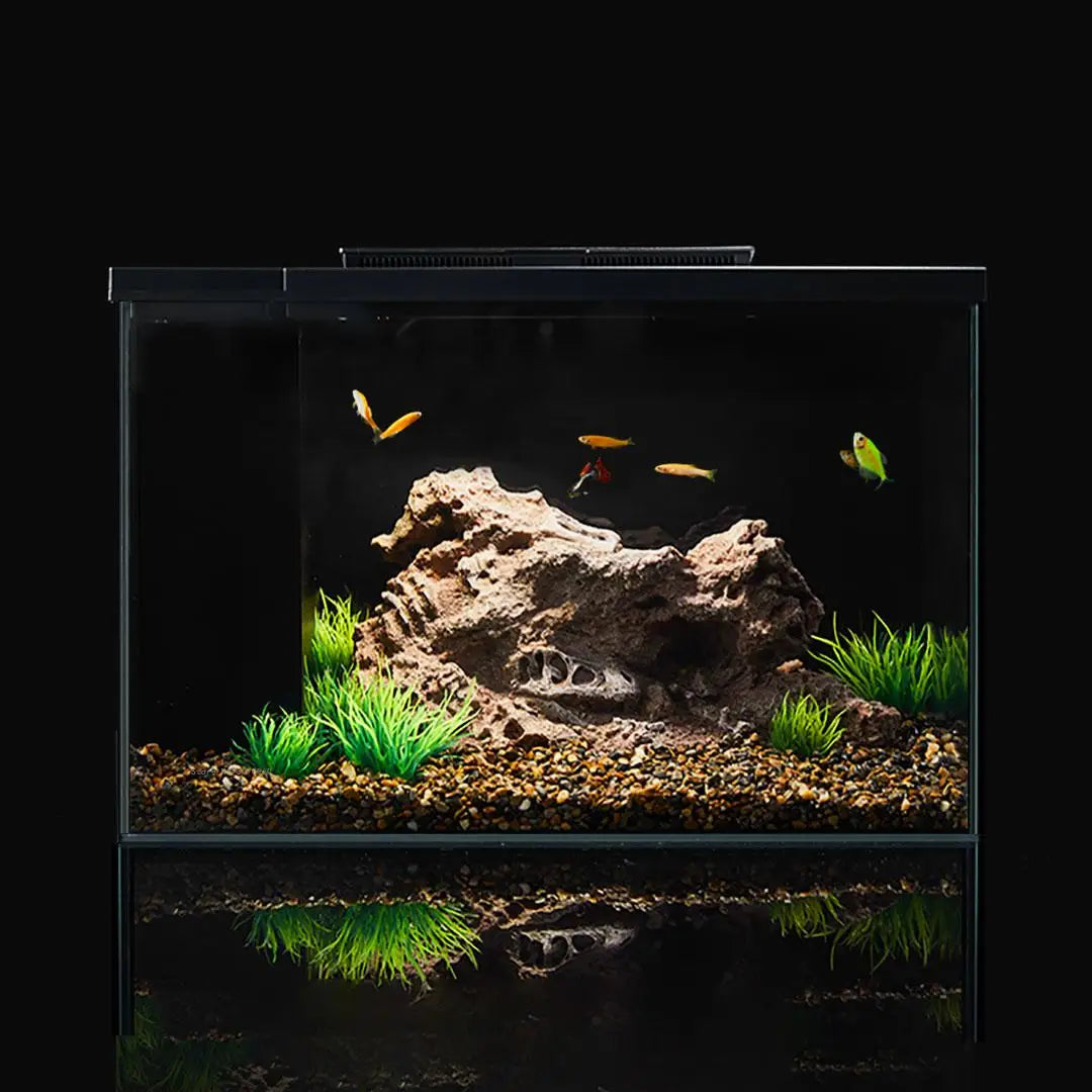 PETKIT Smart Aquarium Eco-Friendly Fish Tank Pro Mobile APP Aquarium Management Smart Lighting System Light Gradient 15L