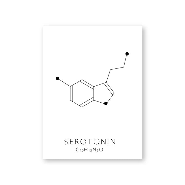 Serotonin & Dopamine Molecule Line Art – Canvas Print