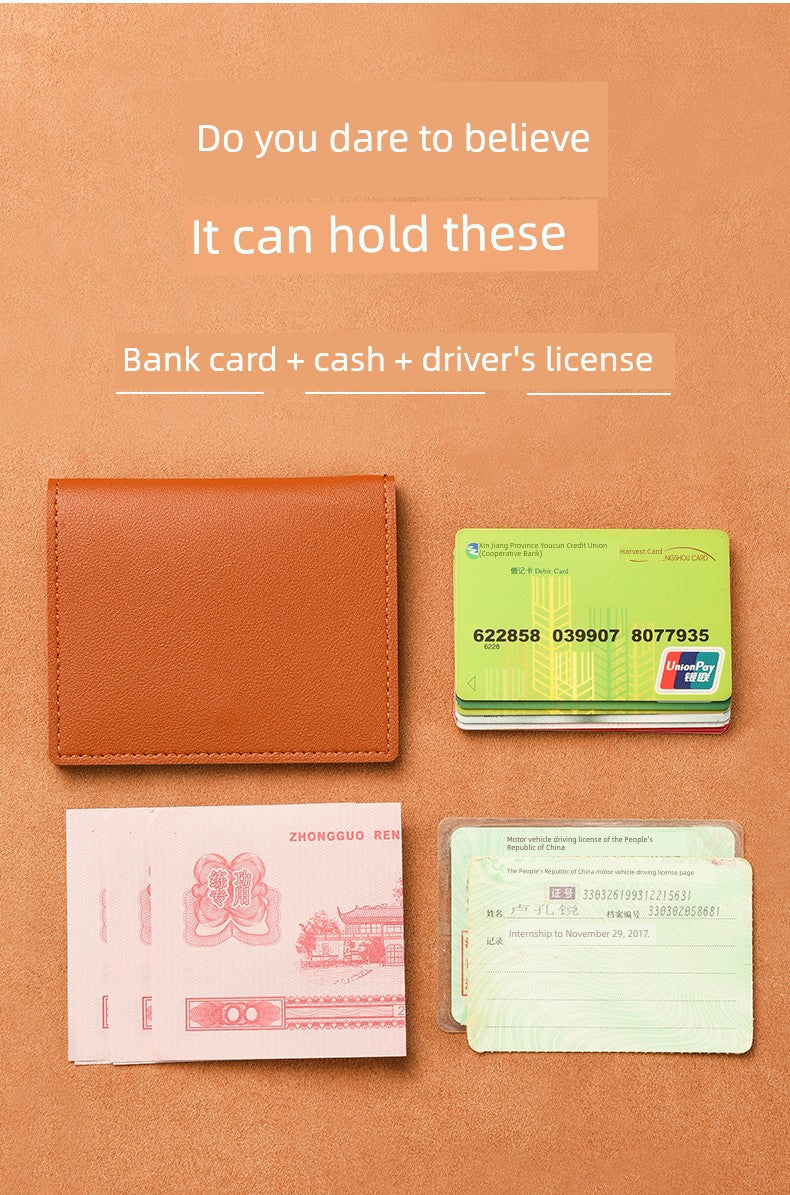 Small Bank Minimalist Thin Anti-Degaussing Card Holder