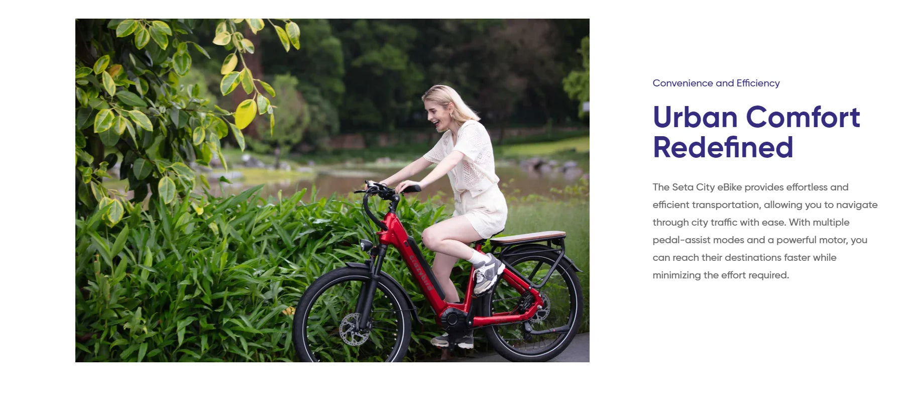 Seta Electric Mountain Bike with 1000W Peak Motor,Top Speed 20 Mph,26 Inch Removable Battery,7 Speed and Front Suspension