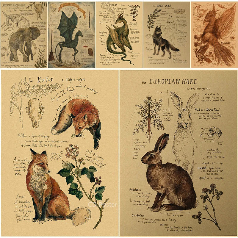 Natural Study Red Fox/Dragon/Elephant/Phoenix/Thestral/Wolf/Hare Poster Prints Kraft Paper Vintage Home Room Decor Wall Painting