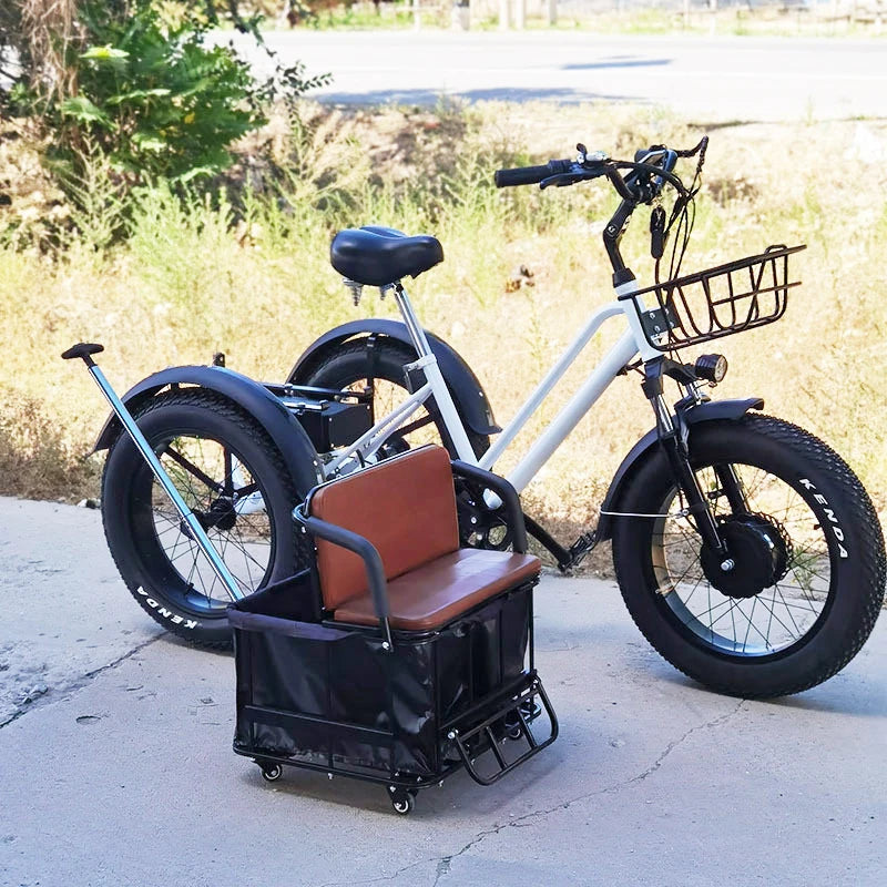 20 inch Cargo Ebike 48V750W fat tire pedal assist electric tricycle thick tire snow lithium battery tricycle