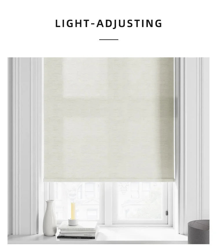 factory pattern wireless 2 layer automated roller shade transparent cord tuya motor motorized windows blinds