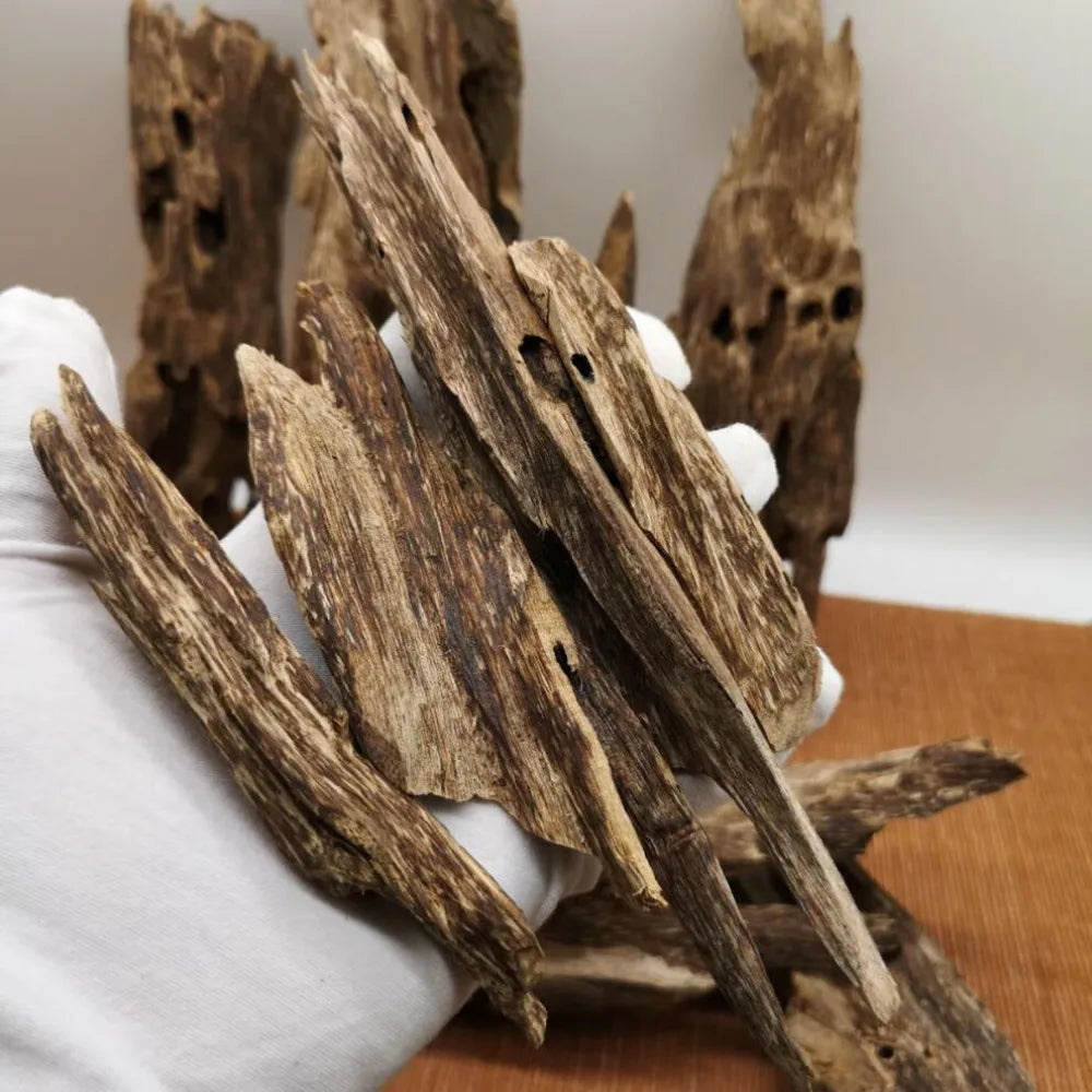 Natural Hainan kinan Cambodia Agarwood Worm Leakage Scraping Scraps Incense Aromatherapy Agarwood Raw Wood Block Free Shipping