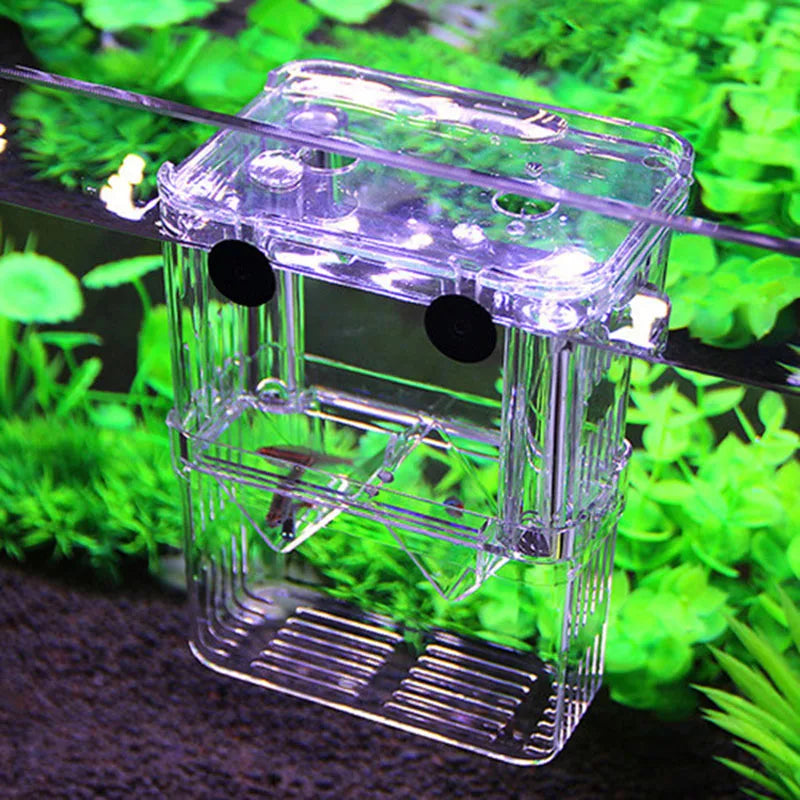 Multifunctional Fish Aquarium Fish Breeding Isolation Box High Clear Aquarium Breeder FishTank Double Guppies Hatching Incubator