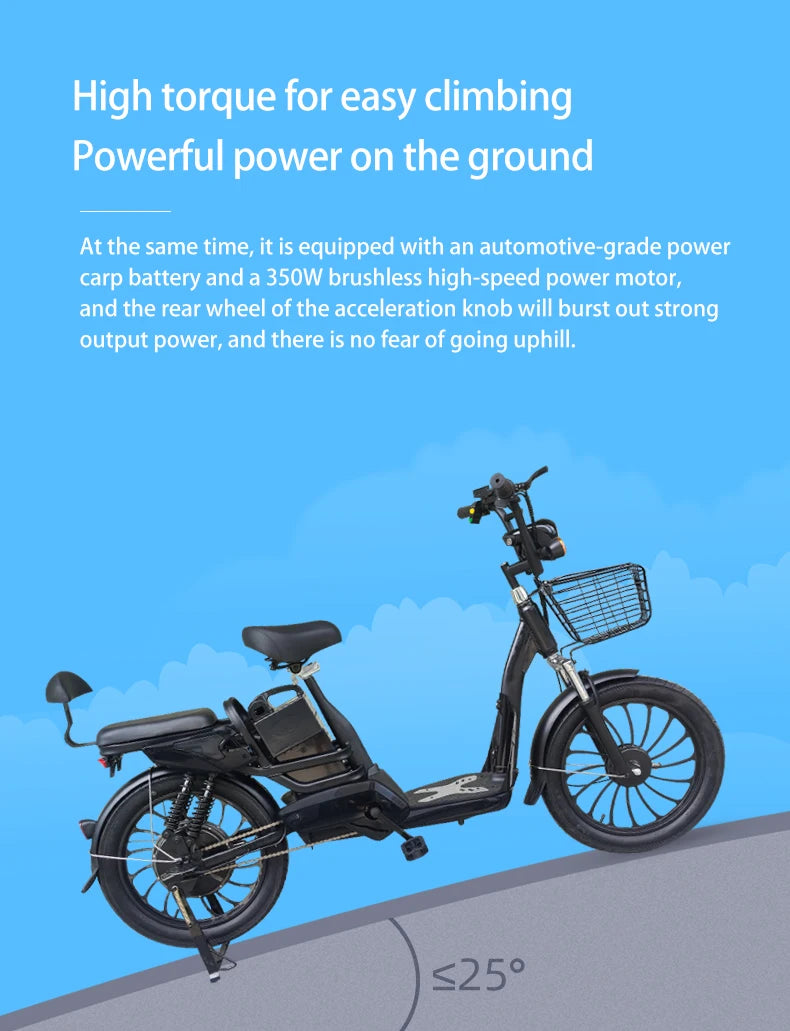 20 Inch No. 9 Fat Tire Household Electric Bicycle Two Seat E-bike 350W электровелосипед Lithium Battery Electric Bike