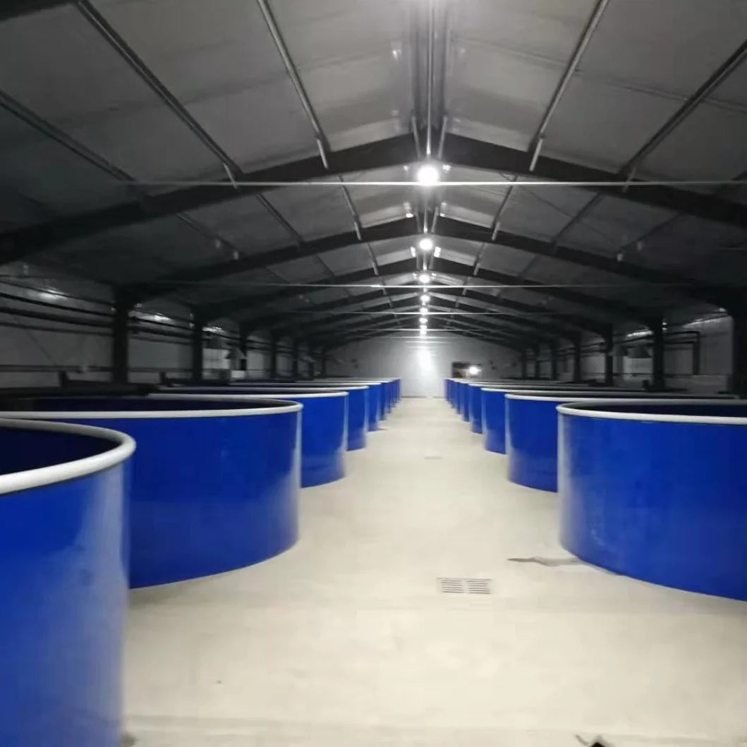 Customized Recirculating Aquaculture Systems Indoor Fish Farm Tanks