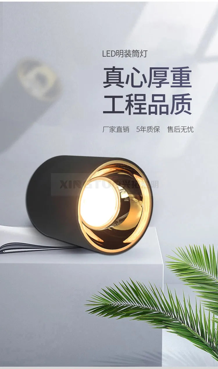 Outdoor waterproof downlight led spotlight Outdoor hotel airport station platform shop door ceiling light