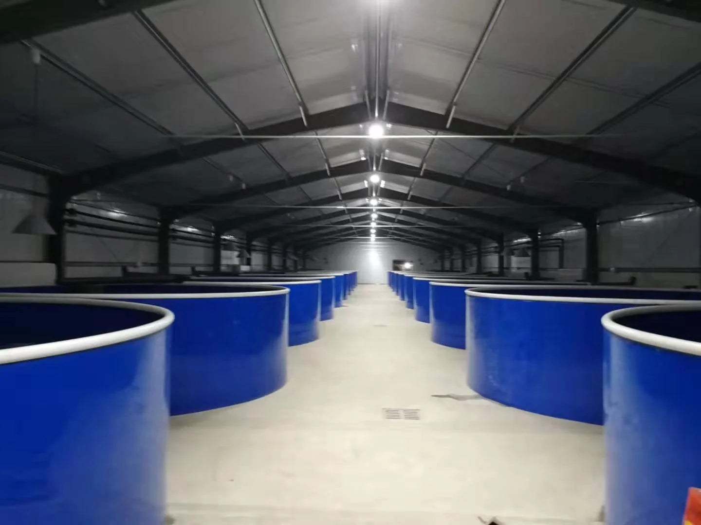 Customized Recirculating Aquaculture Systems Indoor Fish Farm Tanks