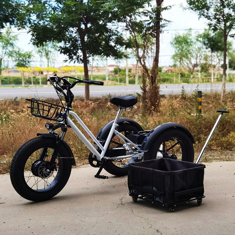 20 inch Cargo Ebike 48V750W fat tire pedal assist electric tricycle thick tire snow lithium battery tricycle