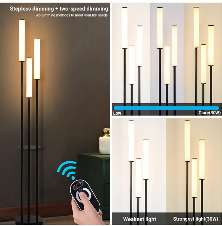 Modern LED Shelf Floor Lamp Storage Standing Lighting Dimmable LED Floor lamp Indoor with remote control for Home Decoration