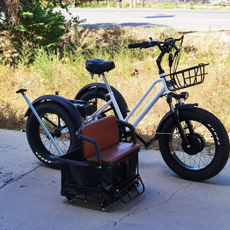 20 inch Cargo Ebike 48V750W fat tire pedal assist electric tricycle thick tire snow lithium battery tricycle