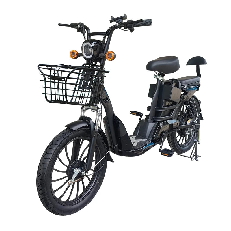 20 Inch No. 9 Fat Tire Household Electric Bicycle Two Seat E-bike 350W электровелосипед Lithium Battery Electric Bike