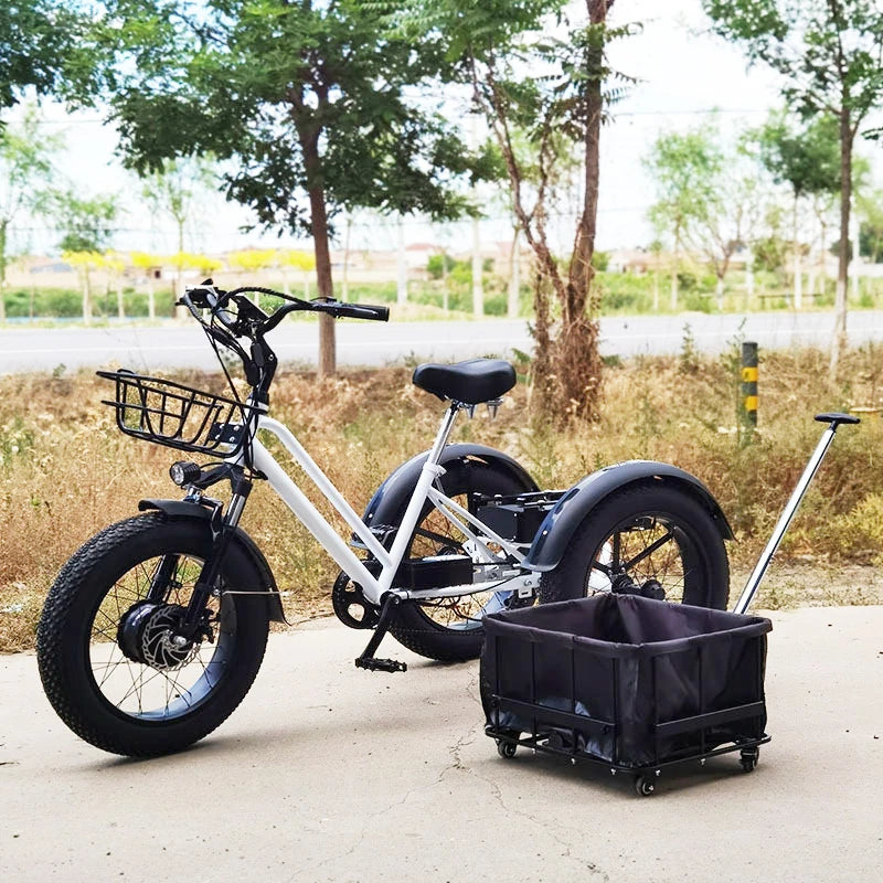 20 inch Cargo Ebike 48V750W fat tire pedal assist electric tricycle thick tire snow lithium battery tricycle