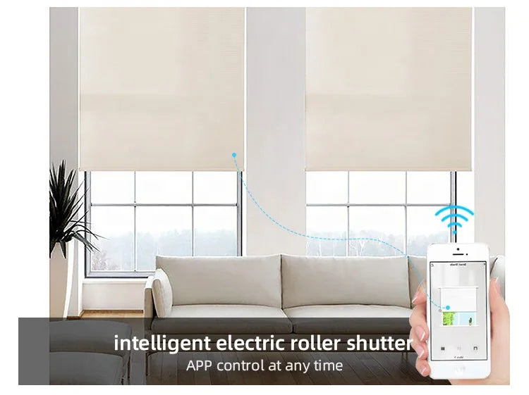 factory pattern wireless 2 layer automated roller shade transparent cord tuya motor motorized windows blinds