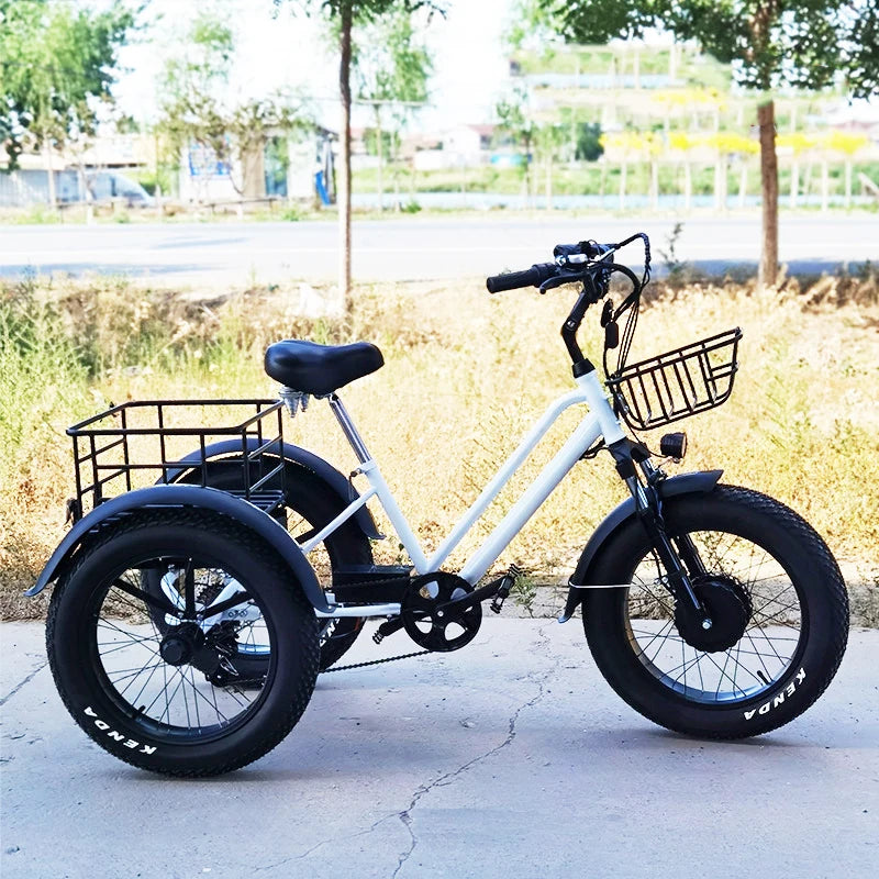 20 inch Cargo Ebike 48V750W fat tire pedal assist electric tricycle thick tire snow lithium battery tricycle