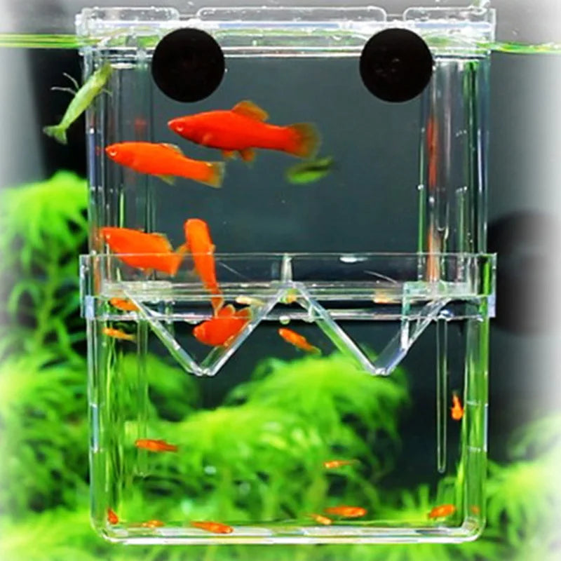 Multifunctional Fish Aquarium Fish Breeding Isolation Box High Clear Aquarium Breeder FishTank Double Guppies Hatching Incubator