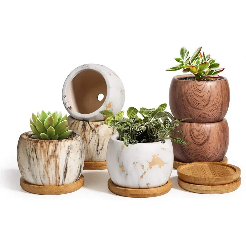 Ceramic Water Transfer Succulent Flower Pots Creative Nordic Gardening Art Vase Home Office Decorations Gardening Supplies