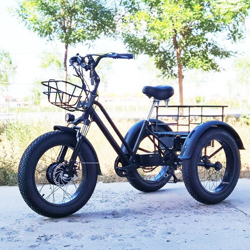 20 inch Cargo Ebike 48V750W fat tire pedal assist electric tricycle thick tire snow lithium battery tricycle