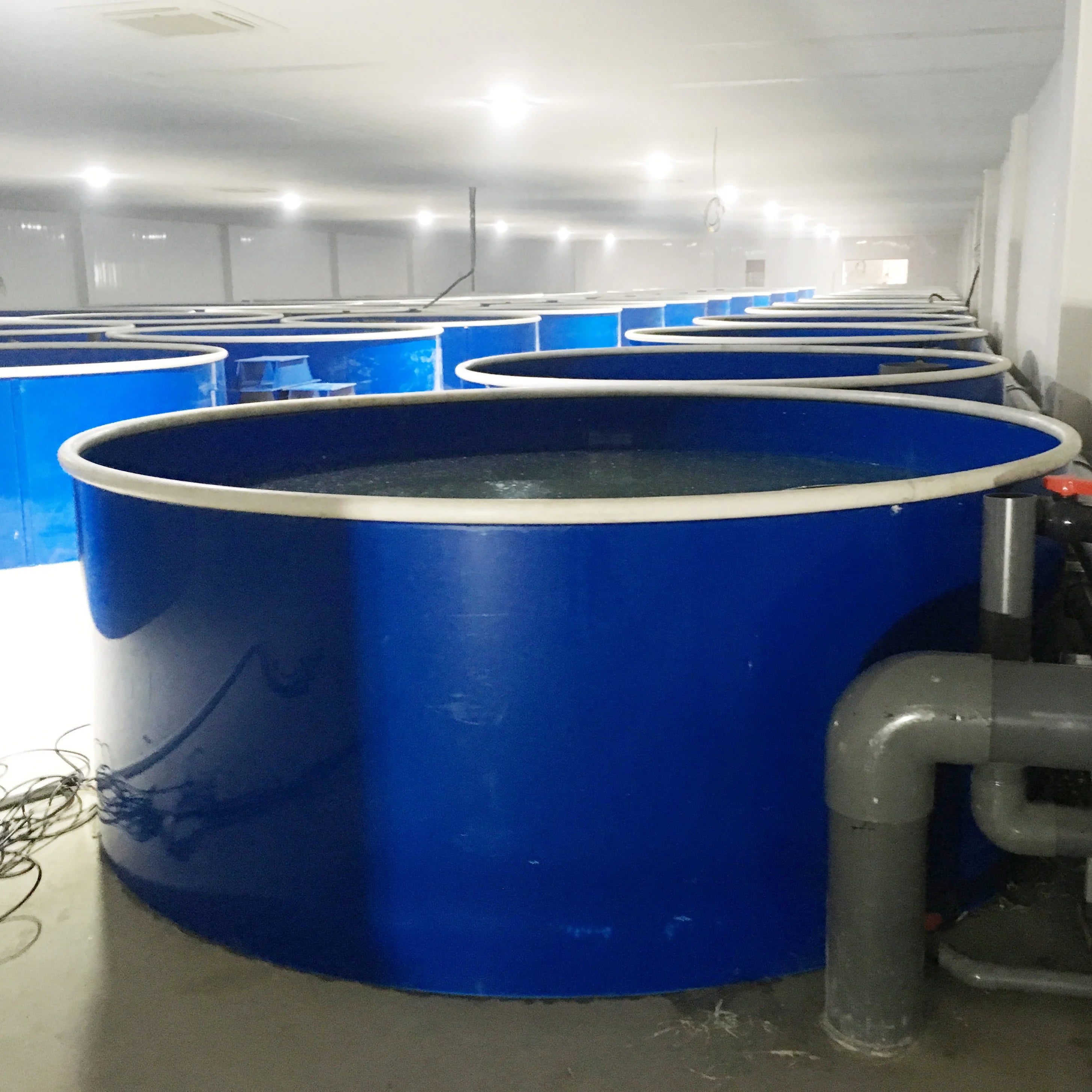 Customized Recirculating Aquaculture Systems Indoor Fish Farm Tanks