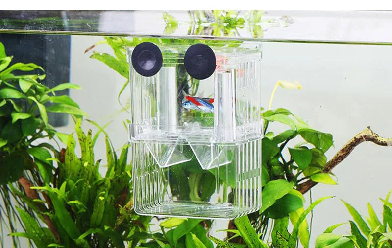 Multifunctional Fish Aquarium Fish Breeding Isolation Box High Clear Aquarium Breeder FishTank Double Guppies Hatching Incubator