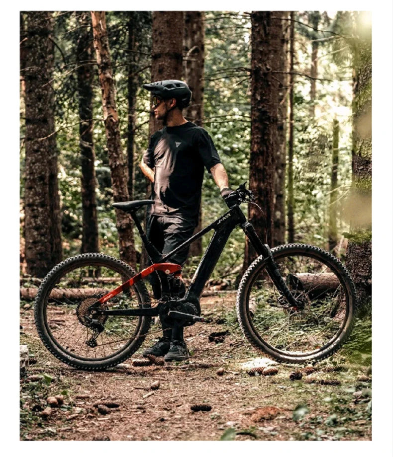 27.5 inch carbon fibre soft tail electric assisted mountain bike Lindau double disc brakes 12 speed 36v mid 250w motor emtb