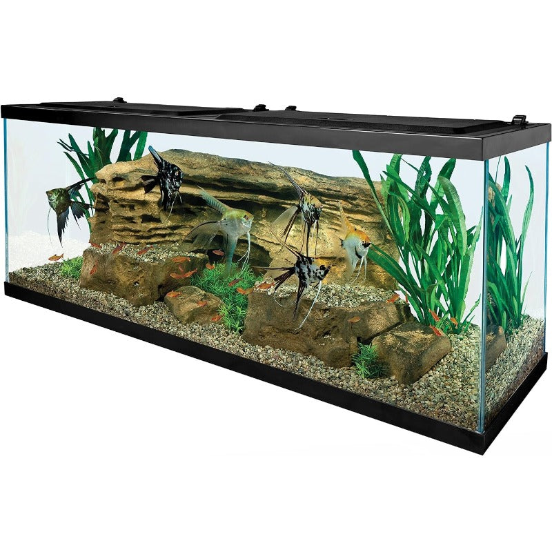 Tetra 55 Gallon Aquarium Kit with Fish Tank, Fish Net, Fish Food, Heater and Water Conditioners Aquariums