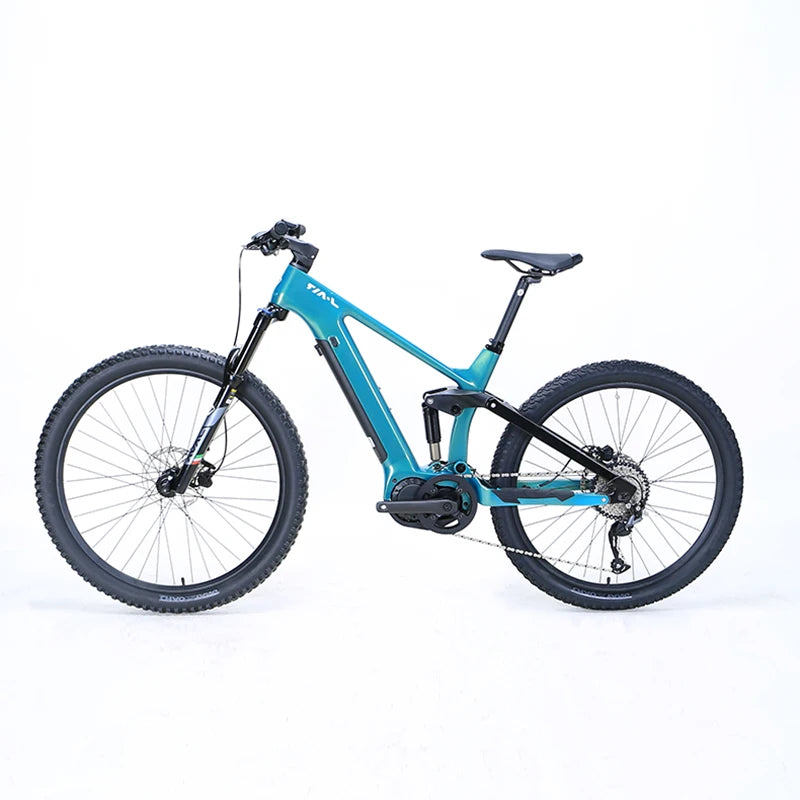 27.5 inch carbon fibre soft tail electric assisted mountain bike Lindau double disc brakes 12 speed 36v mid 250w motor emtb