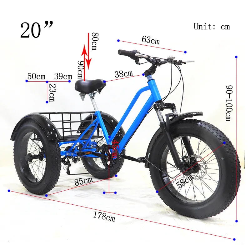 20 inch Cargo Ebike 48V750W fat tire pedal assist electric tricycle thick tire snow lithium battery tricycle